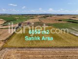 Tekirdağ Kapaklı Karlı Köyü 6059 m2 Satılık Tarla